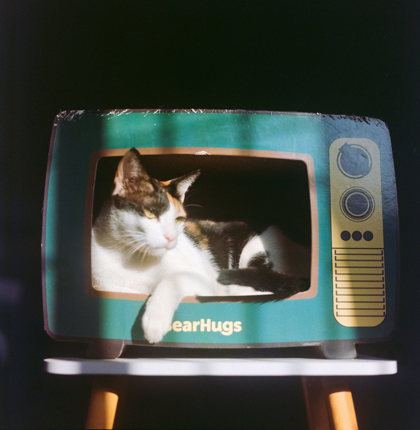 Fujicolor Professional NPL 160 (Expired 2005)