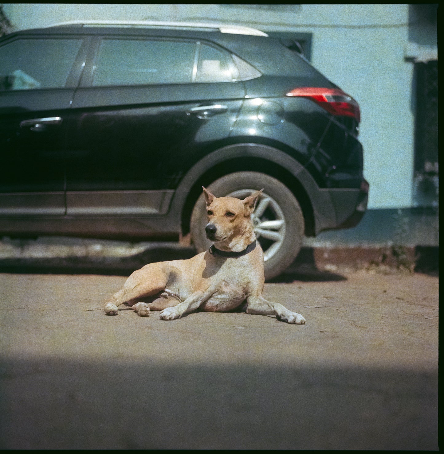 Fujicolor Professional NPL 160 (Expired 2005)