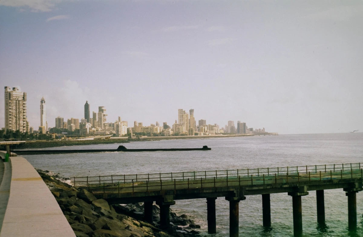 Fujifilm Provia 100F RDP 3 (Expired 2015)