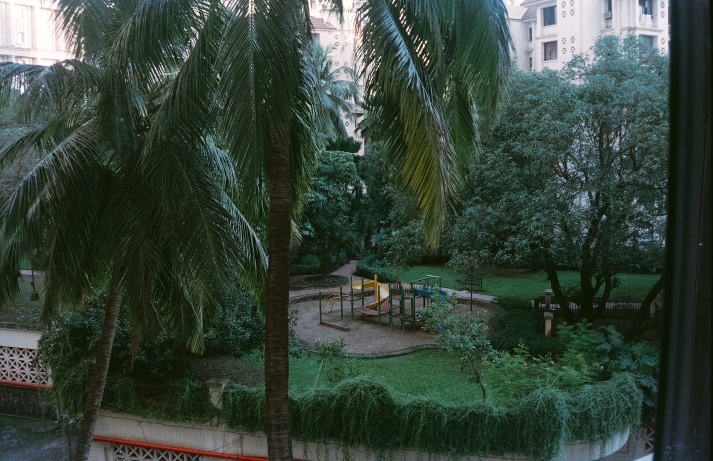 Fujifilm Superia Xtra 800 (Expired 2010)